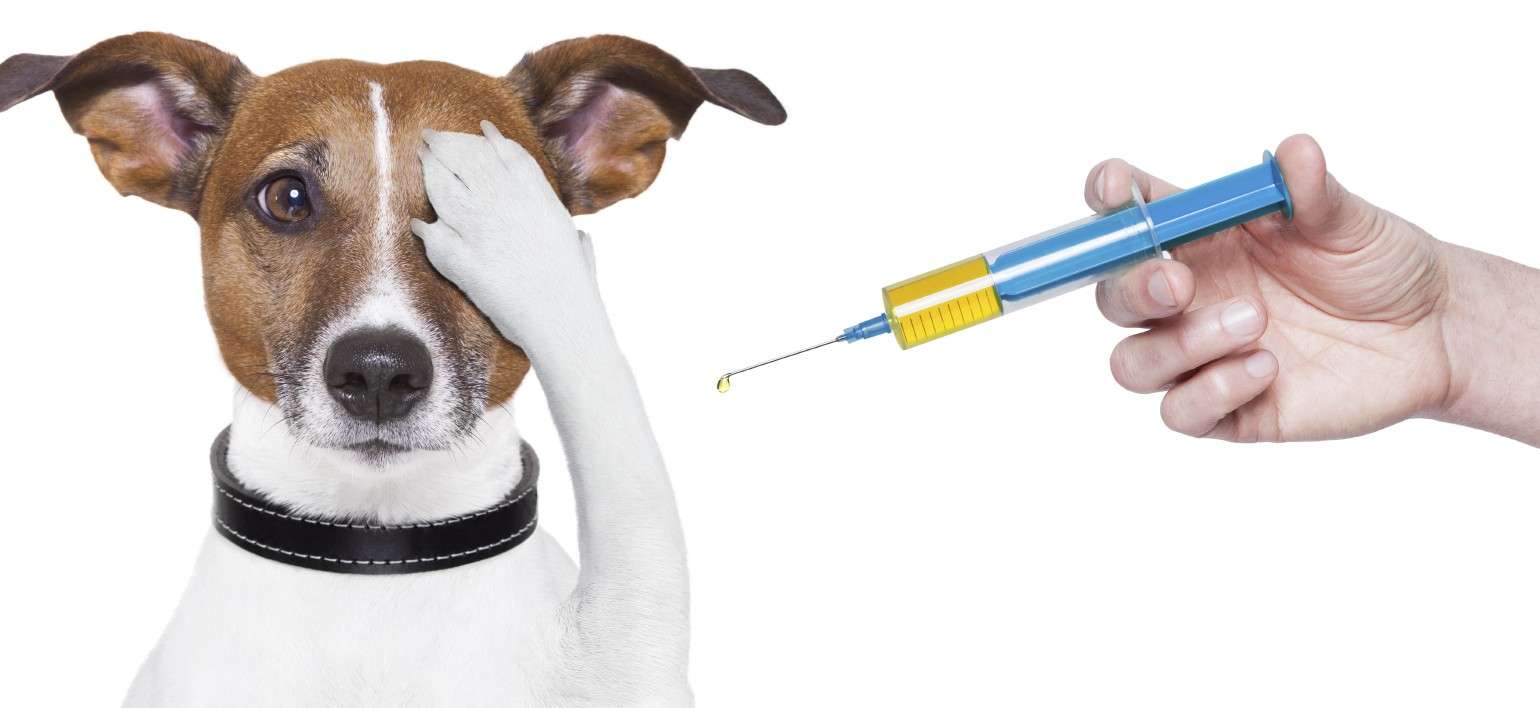 Vaccinari